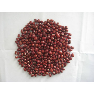 new crop Adzuki beans